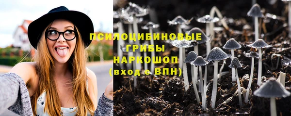spice Корсаков