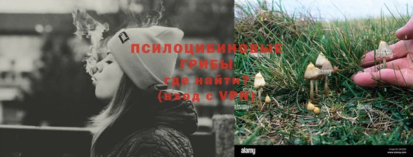 ALPHA-PVP Краснослободск